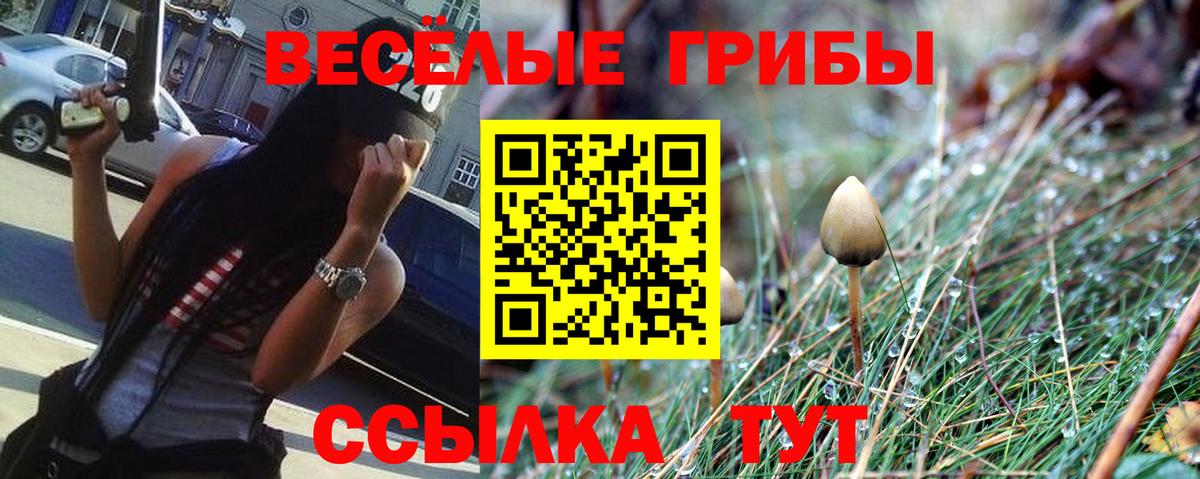 Псилоцибиновые грибы Cubensis Чебоксары
