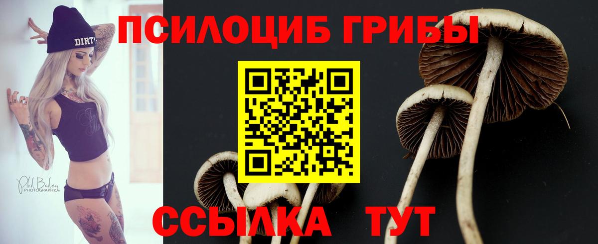 Псилоцибиновые грибы мухоморы  Галлюциногенные грибы Cubensis  Чебоксары  Вход с VPN 